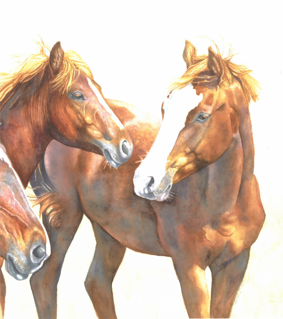 Horses