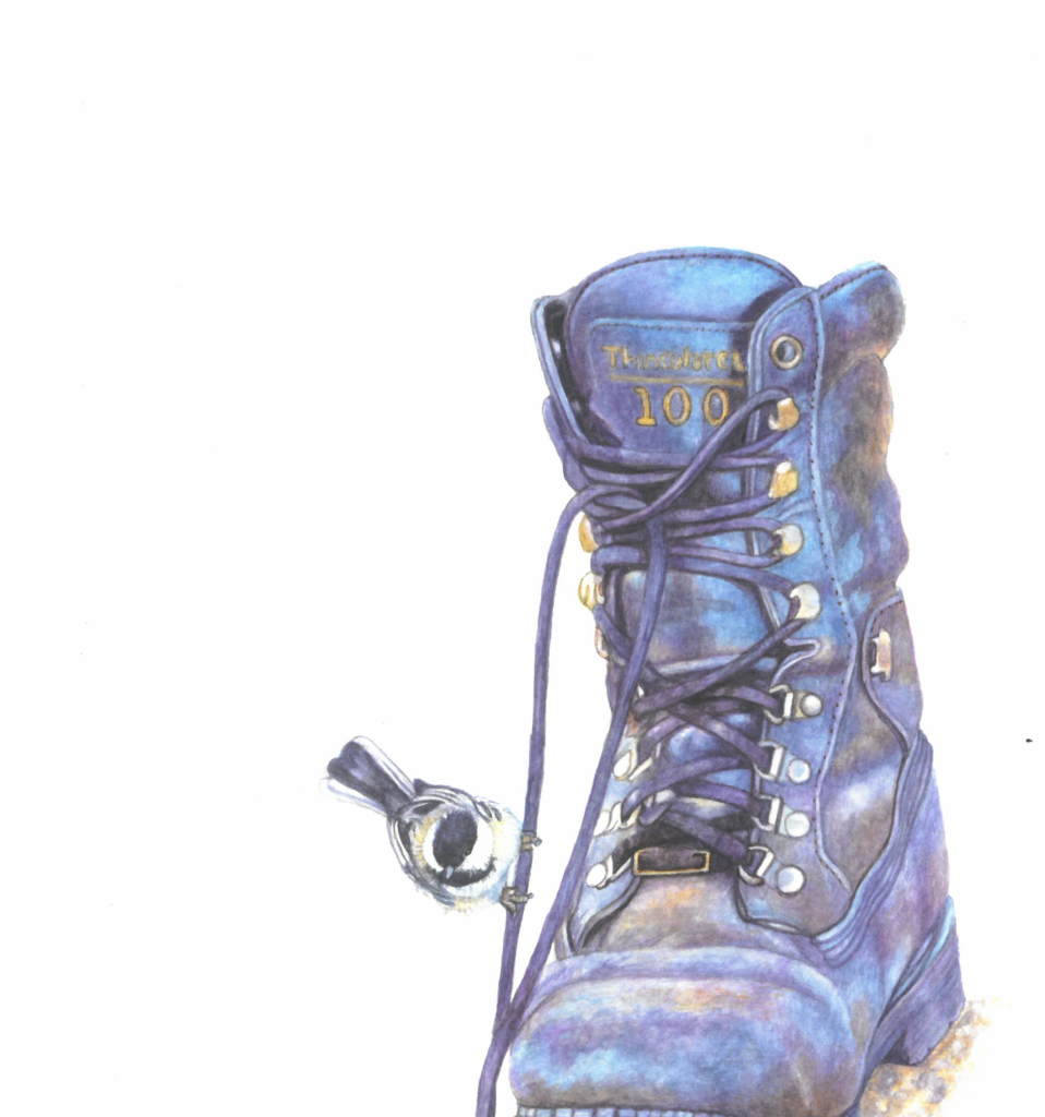 Bird on Boot