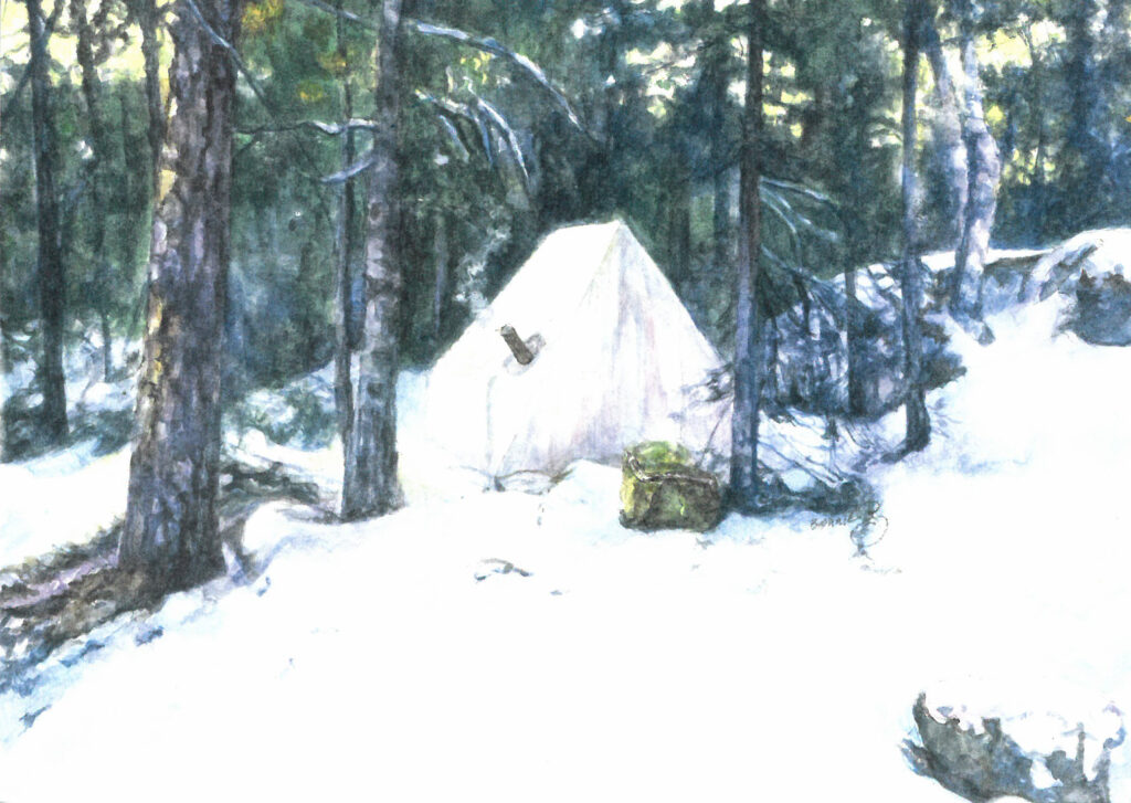 Tent in Woods