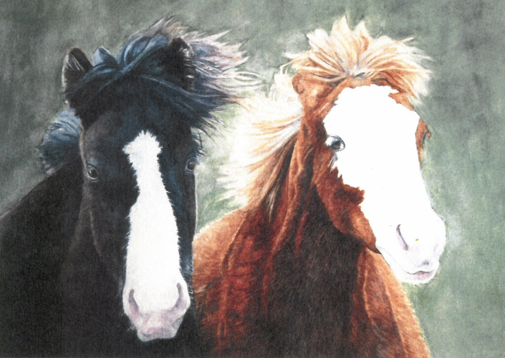 Two Horses